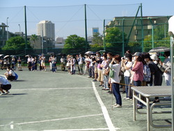 会