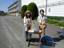 会