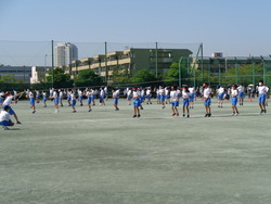 会