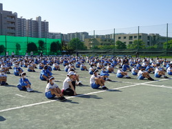会