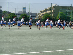 会