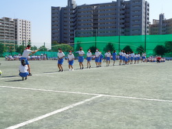会