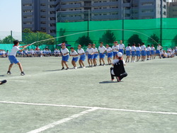会