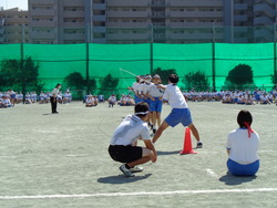 会