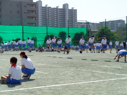 会
