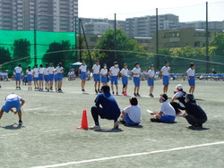 会