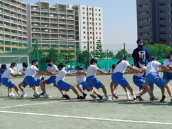 会