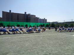 会