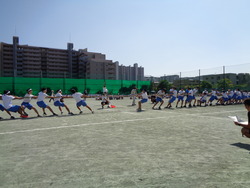 会