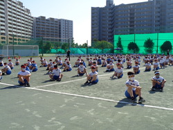 会