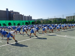会