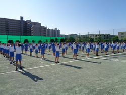 会
