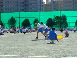 会