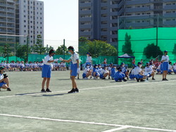 会
