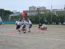 障がい走