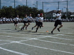 6年生徒競走の写真