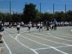2年生徒競走の写真