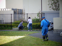 写真：除草作業