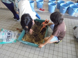 土を混ぜる様子