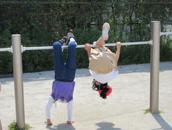 写真：昼休み