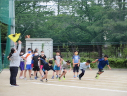 写真：陸上