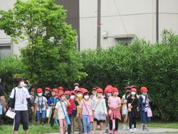探検