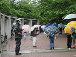雨登校