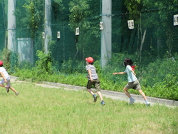 校庭