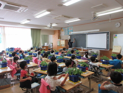 観察