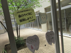 ほけん