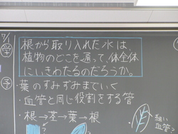 理科