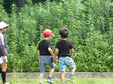 昼休み