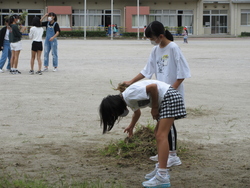 くさとり