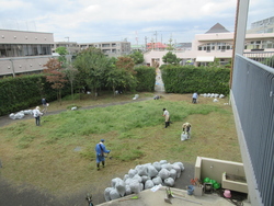 くさとり