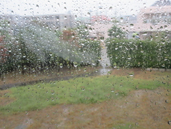 台風
