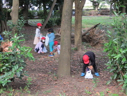 1年生が生活科の学習で中央公園に木の実拾いに出かけました。