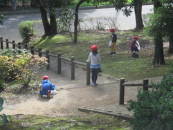 松ぼっくりも子ども達には人気があり、広い公園の隅々まで探してまわる姿が見られました。