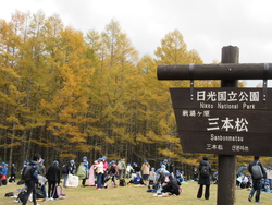 修学旅行