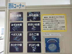 理科