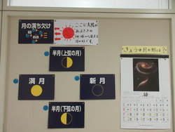 理科