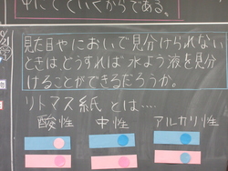 理科