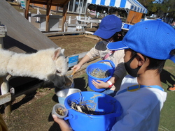 遠足