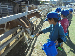 遠足