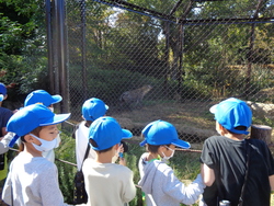 遠足