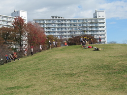 芝生の山で遊ぶ児童