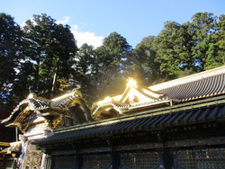 唐門の奥の拝殿が日光で輝いていました。