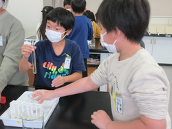 半そで