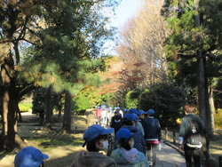 国会