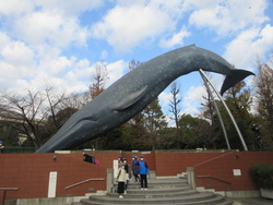 国会