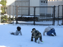雪
